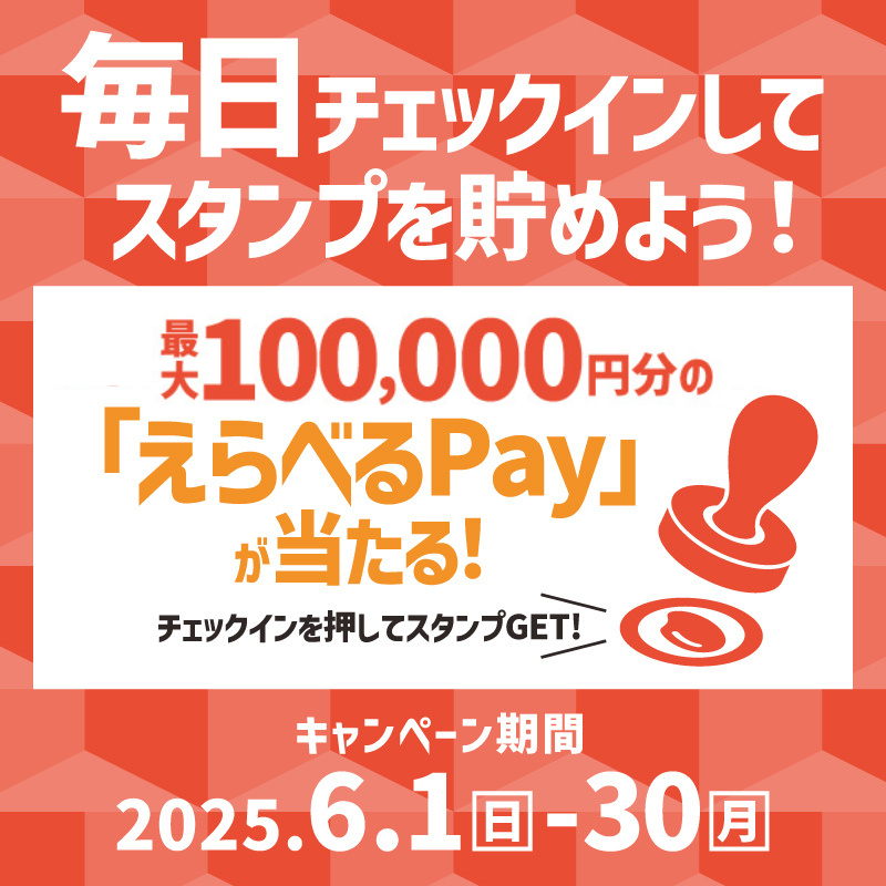 毎日チェックインしてスタンプを貯めよう！ 最大100,000円分の「えらべるPay」が当たる！ チェックインを押してスタンプGET！  キャンペーン期間  2025.6.1日～30月