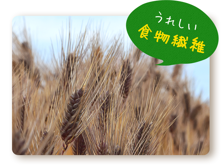 うれしい食物繊維