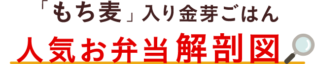 「もち麦」入り金芽ごはん 人気お弁当解剖図