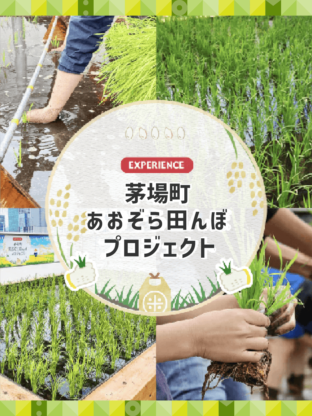 茅場町あおぞら田んぼプロジェクト