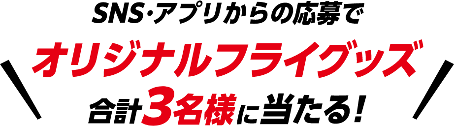 SNS・アプリからの応募でオリジナルフライグッズ合計3名様に当たる！